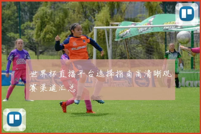 世界杯直播平台选择指南高清晰观赛渠道汇总